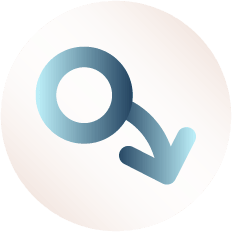 Support Firmer,Longer Erections